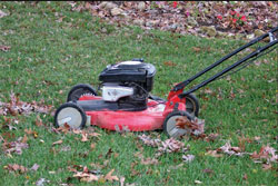 Image from http://pubs.ext.vt.edu/430/430-521/430-521.html 