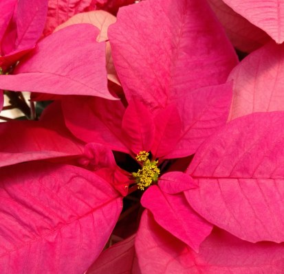 IMG_20161219_154959827